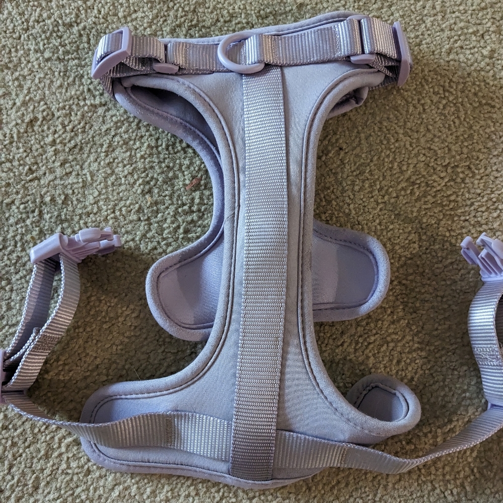 Wild One Leash Set